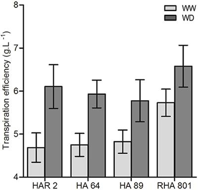 Biomass Allocation Patterns Are Linked to Genotypic Differences in Whole-Plant Transpiration Efficiency in Sunflower